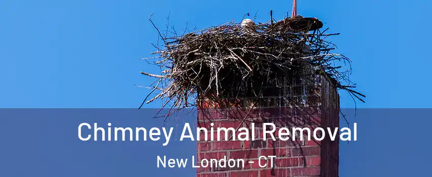 Chimney Animal Removal New London - CT