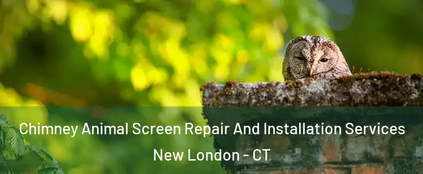  Chimney Animal Screen Repair And Installation Services New London - CT