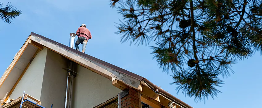 Birds Removal Contractors from Chimney in New London, CT
