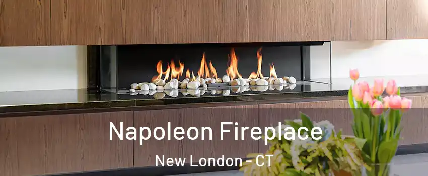  Napoleon Fireplace New London - CT