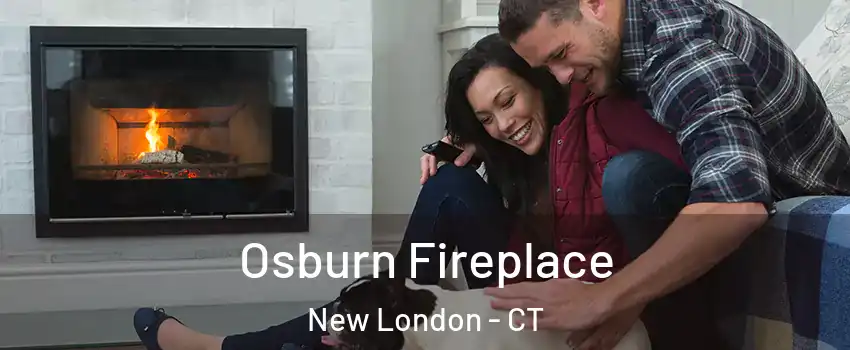  Osburn Fireplace New London - CT